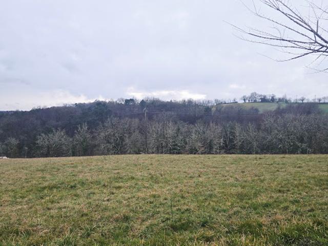 Vente Terrain 4300 m2 Trélissac