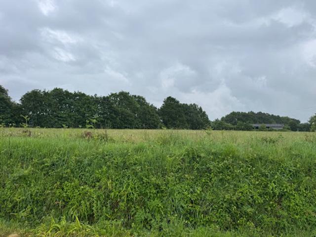 Vente Terrain 431 m2 Cossé le Vivien