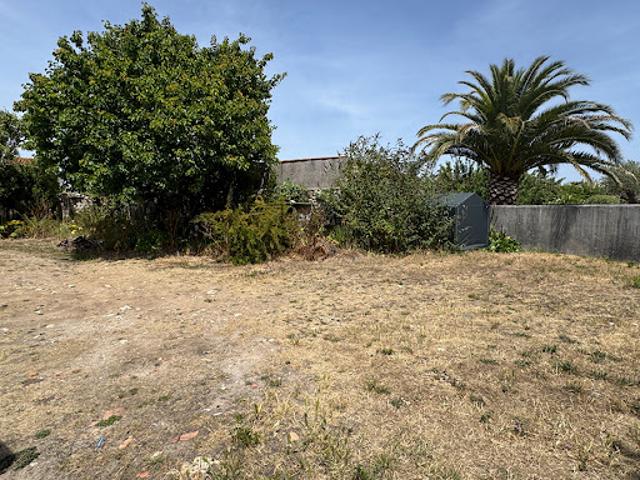 Vente Terrain 431 m2 Sainte Marie de Ré