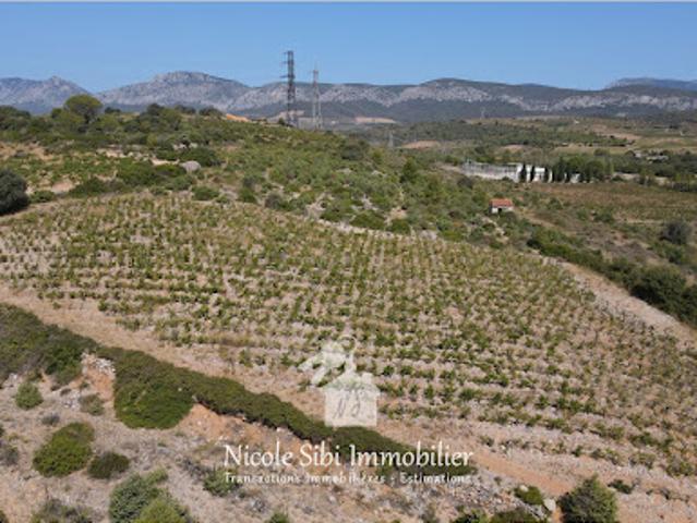 Vente Terrain 4325 m2 Tautavel