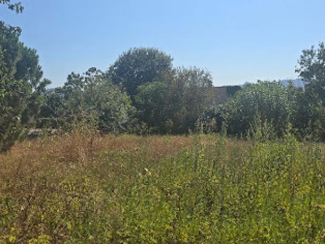 Vente Terrain 432 m2 Carros