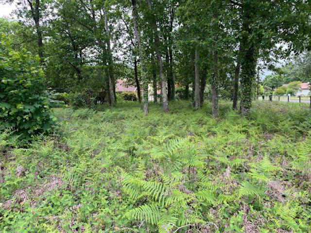 Vente Terrain 434 m2 Andernos les Bains