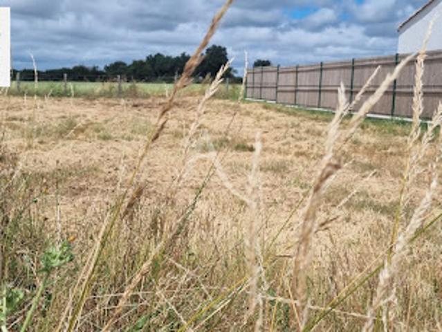 Vente Terrain 434 m2 L'Aiguillon sur Vie