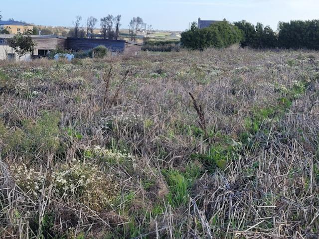 Vente Terrain 435 m2 Guissény