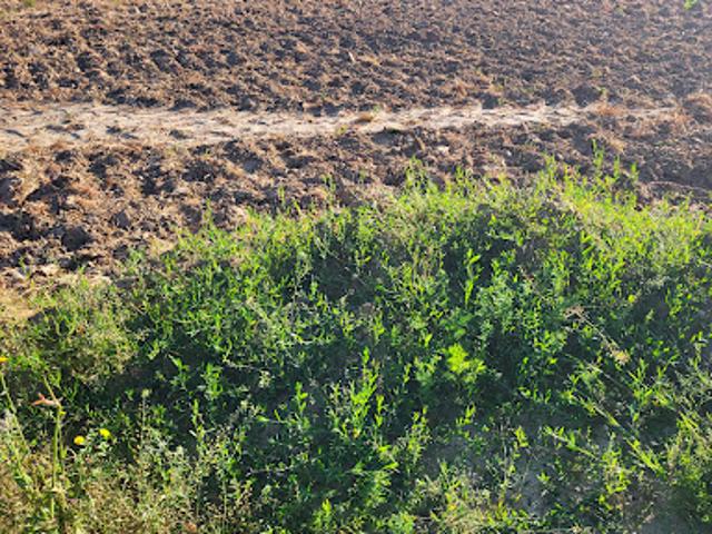Vente Terrain 435 m2 Plouénan