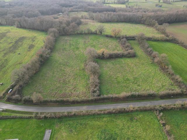 Vente Terrain 43717 m2 Lys Saint Georges