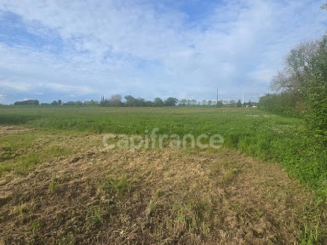 Vente Terrain 4397 m2 Nachamps
