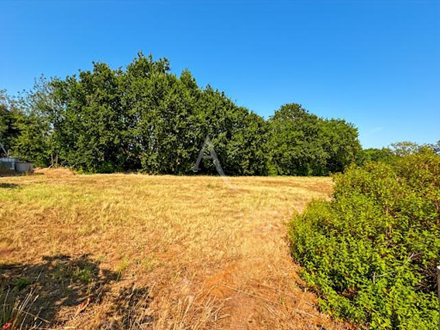 Vente Terrain 439 m2 Challans