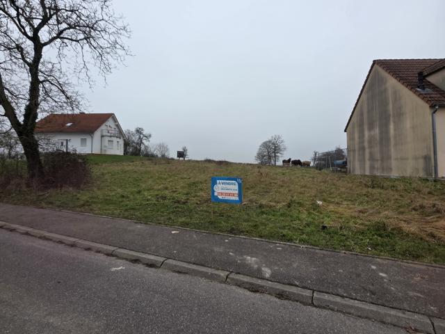 Vente Terrain 4 187 m²