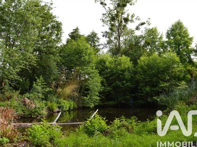 Vente Terrain 4 555 m²