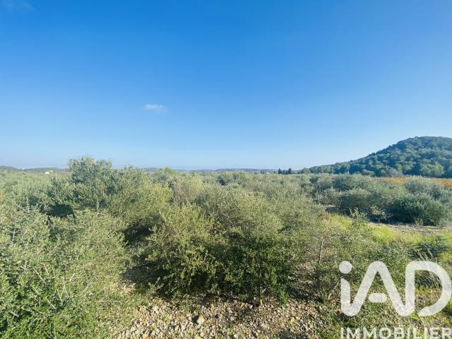 Vente Terrain 4 910 m²