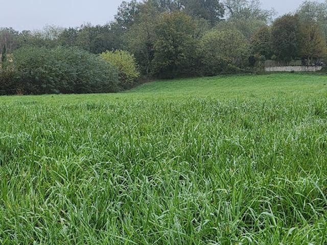 Vente Terrain 543 m2 Bourg Saint Christophe
