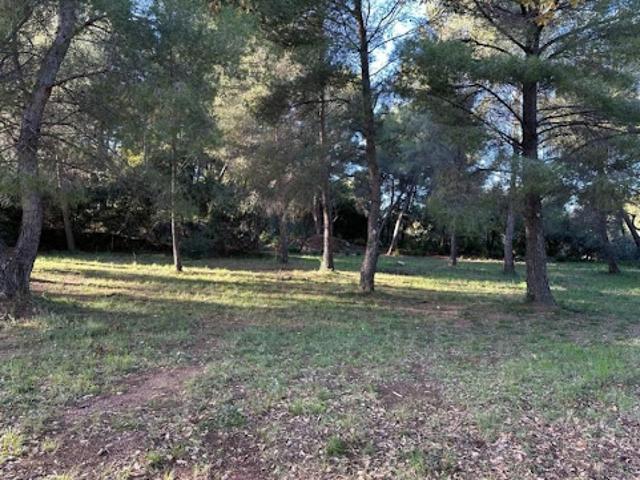 Vente Terrain 543 m2 Ollioules