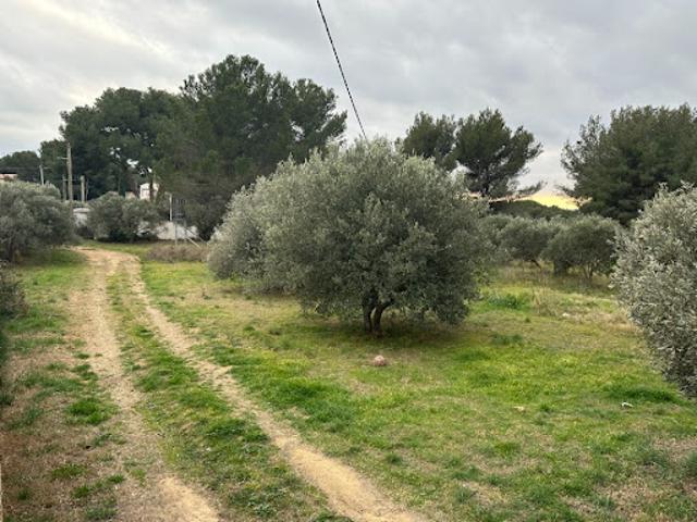 Vente Terrain 543 m2 Saint Chamas