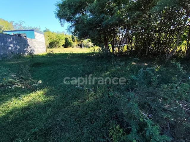 Vente Terrain 540 m2 Anse bertrand