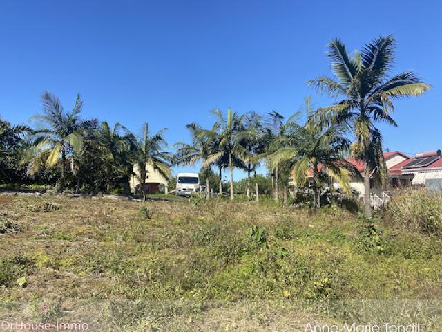 Vente Terrain 540 m2 Le tampon