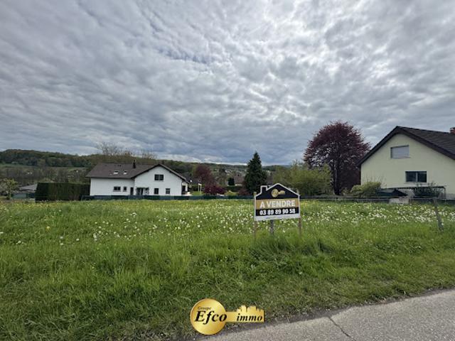 Vente Terrain 0 m2 Neuwiller