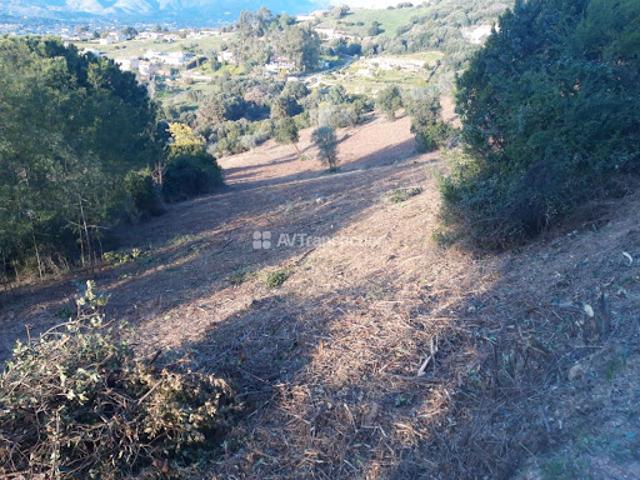 Vente Terrain 5410 m2 Cuttoli Corticchiato