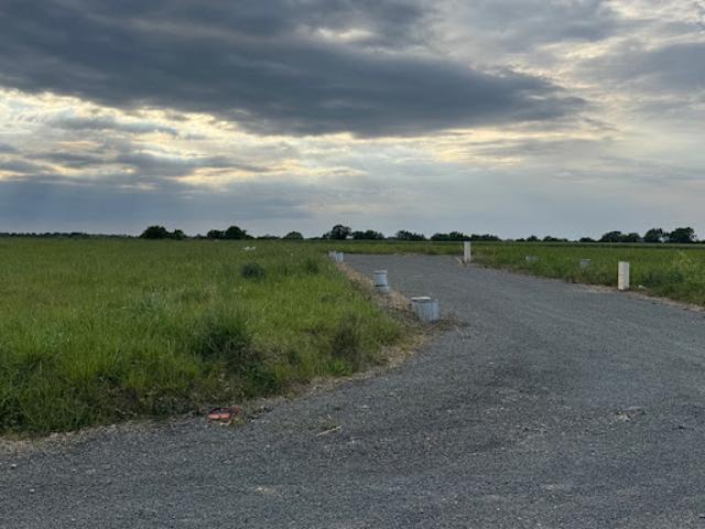 Vente Terrain 542 m2 Nuillé sur Vicoin