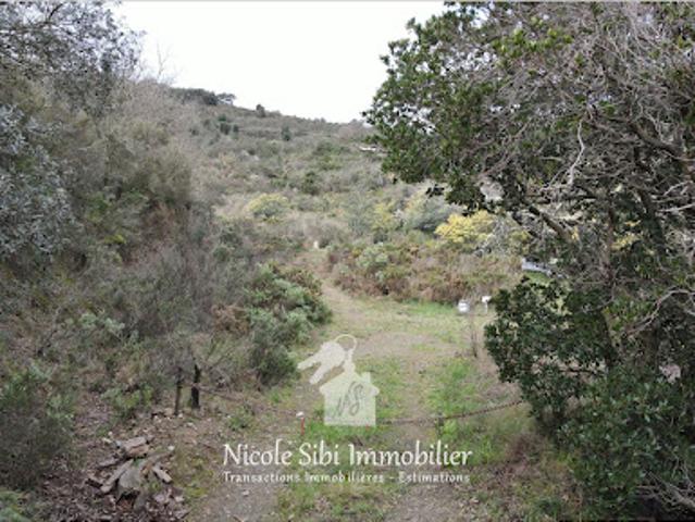 Vente Terrain 54574 m2 Estagel