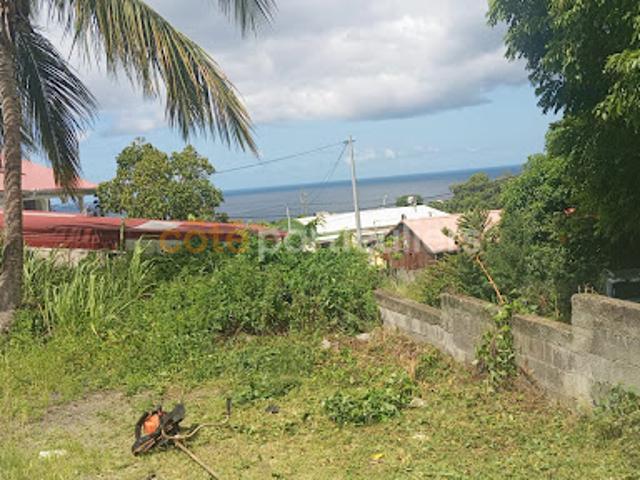 Vente Terrain 545 m2 Gourbeyre