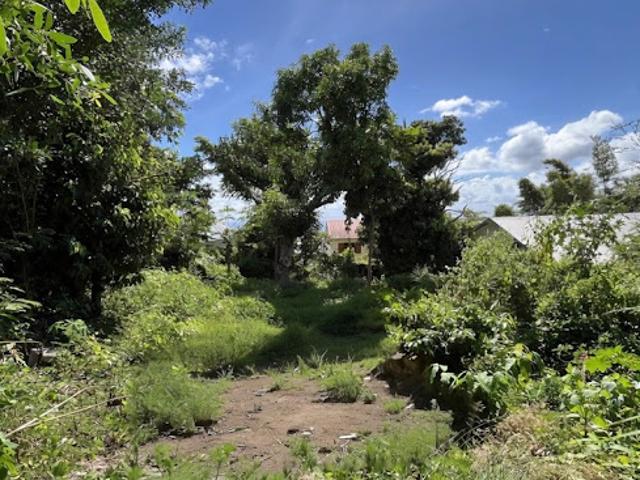 Vente Terrain 545 m2 Moufia