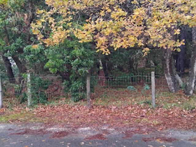 Vente Terrain 545 m2 Soulac sur Mer