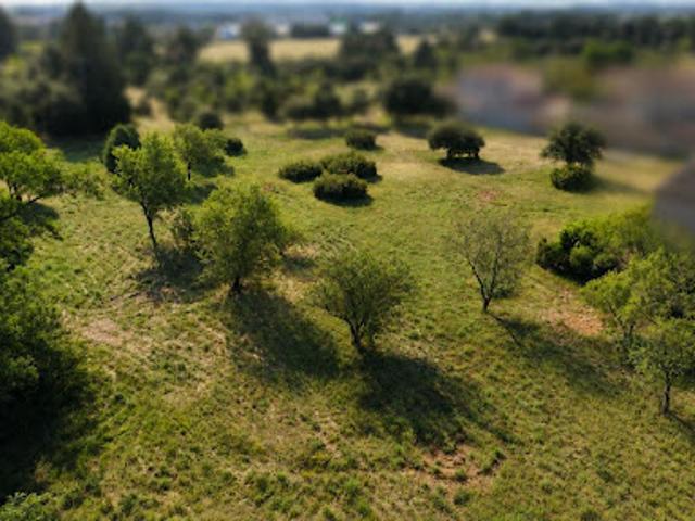 Vente Terrain 5462 m2 Sorgues