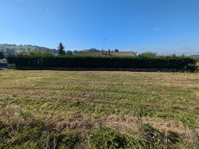 Vente Terrain 548 m2 Panissières