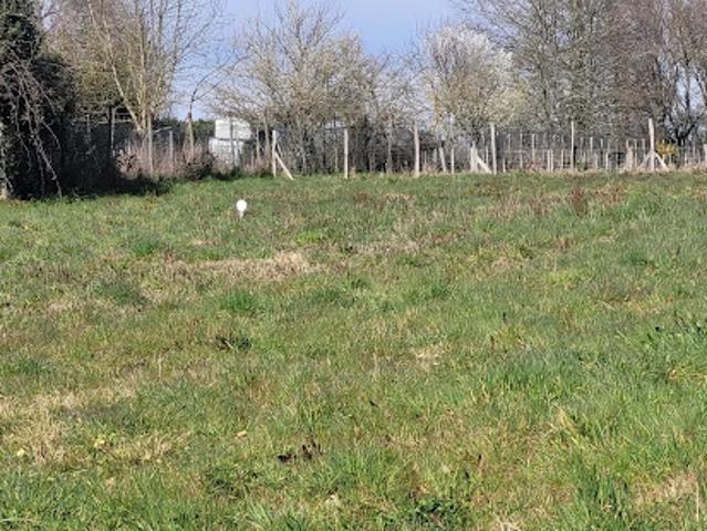 Vente Terrain 548 m2 Saint Césaire