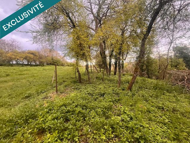 Vente Terrain 5500 m2 Arcy Sainte Restitue