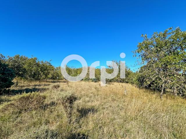 Vente Terrain 5500 m2 Ruoms