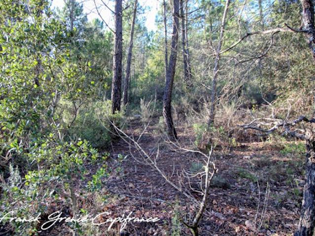 Vente Terrain 55050 m2 Tourves