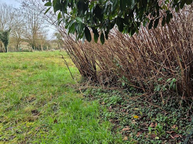 Vente Terrain 550 m2 Vouthon