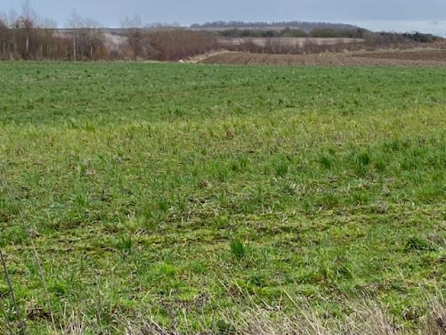Vente Terrain 550 m2 Wimille