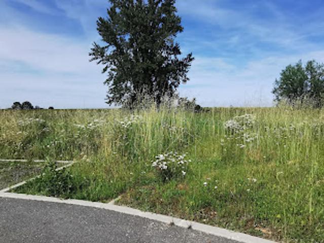 Vente Terrain 550 m2 Colomiers