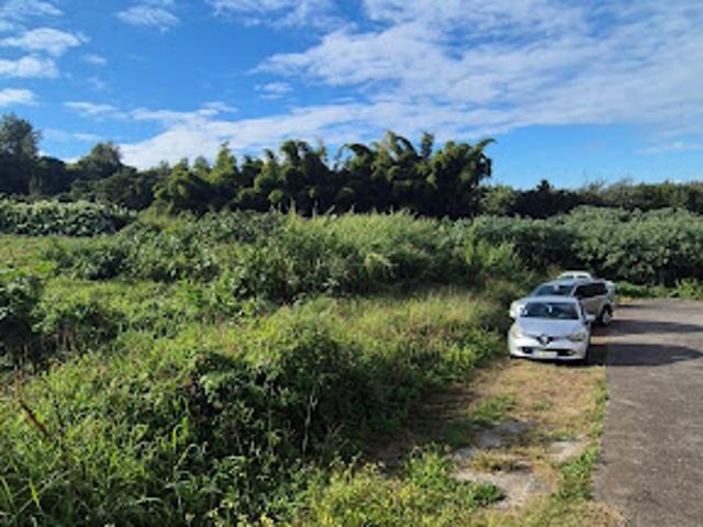 Vente Terrain 550 m2 Le tampon