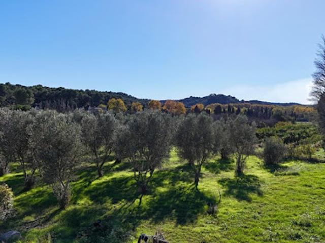 Vente Terrain 550 m2 Saint Etienne du Grès