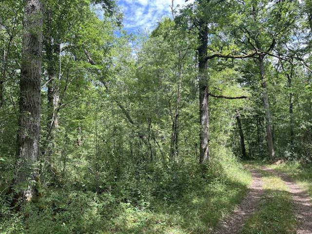 Vente Terrain 551889 m2 Pressigny les Pins