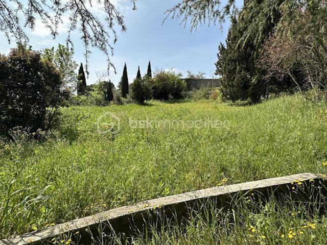 Vente Terrain 552 m2 Montfrin