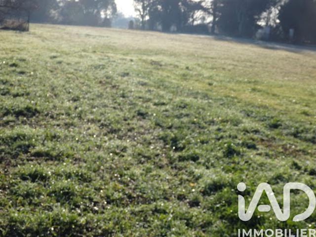 Vente Terrain 554 m2 Asques