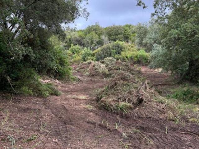 Vente Terrain 5556 m2 Pietrosella