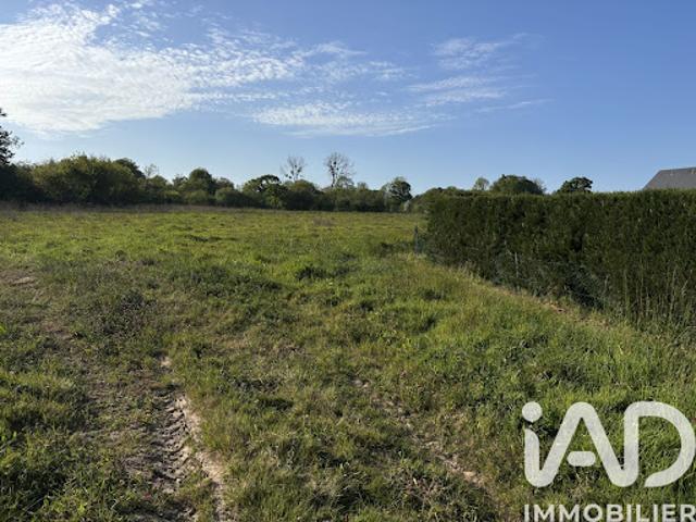Vente Terrain 555 m2 Valognes