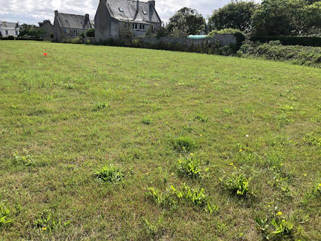 Vente Terrain 555 m2 Sainte Sève