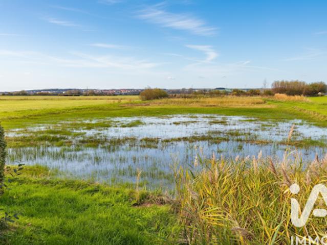 Vente Terrain 5567 m2 Saint Josse
