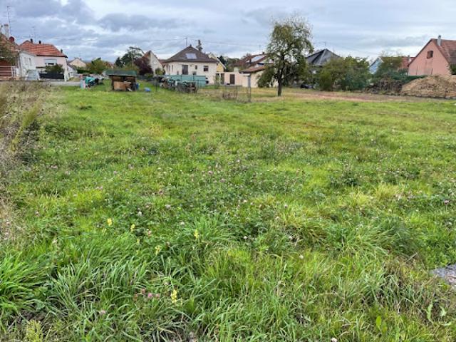 Vente Terrain 556 m2 Issenheim
