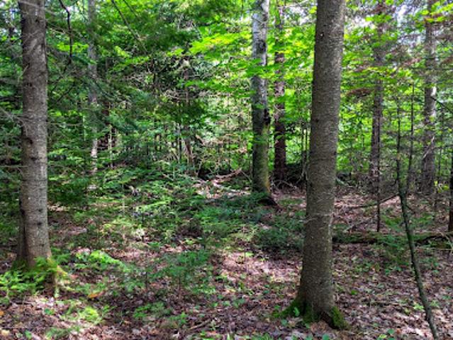 Vente Terrain 5598 m2 Lorgues