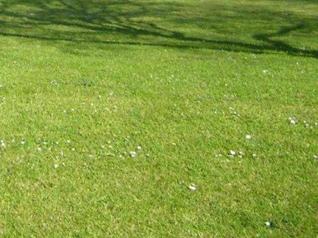 Vente Terrain 560 m2 Auray