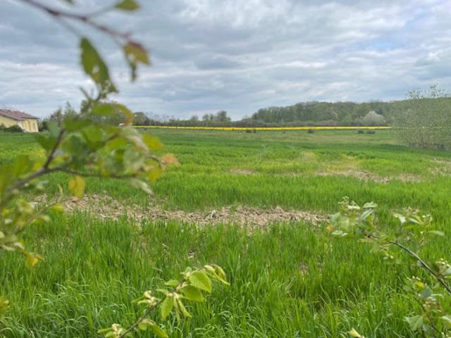 Vente Terrain 560 m2 Hagen