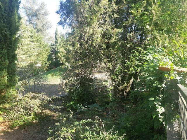 Vente Terrain 560 m2 Montrabé